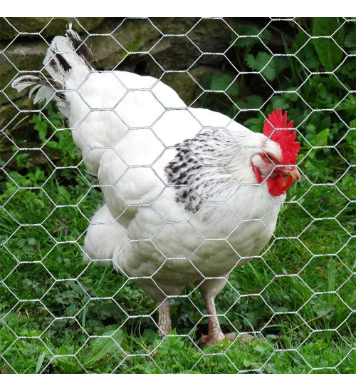 MTB 20GA Galvanized Hexagonal Poultry Netting Chicken Wire 24 inches x 50 feet x 1 inch Mesh