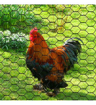 MTB PVC Hexagonal Poultry Netting Chicken Wire 12" x150' x 1" Mesh 20GA Black