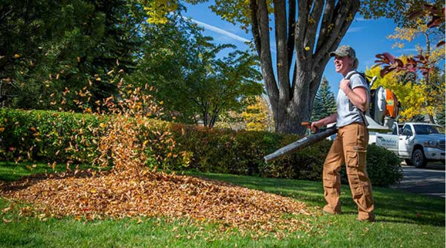 Fall Leaves: Cleaning up the Lawn,Home and Garden
